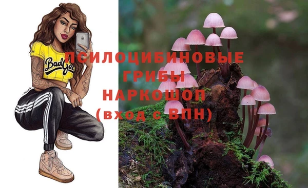 каннабис Баксан