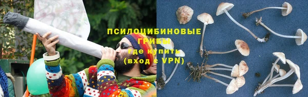 каннабис Баксан