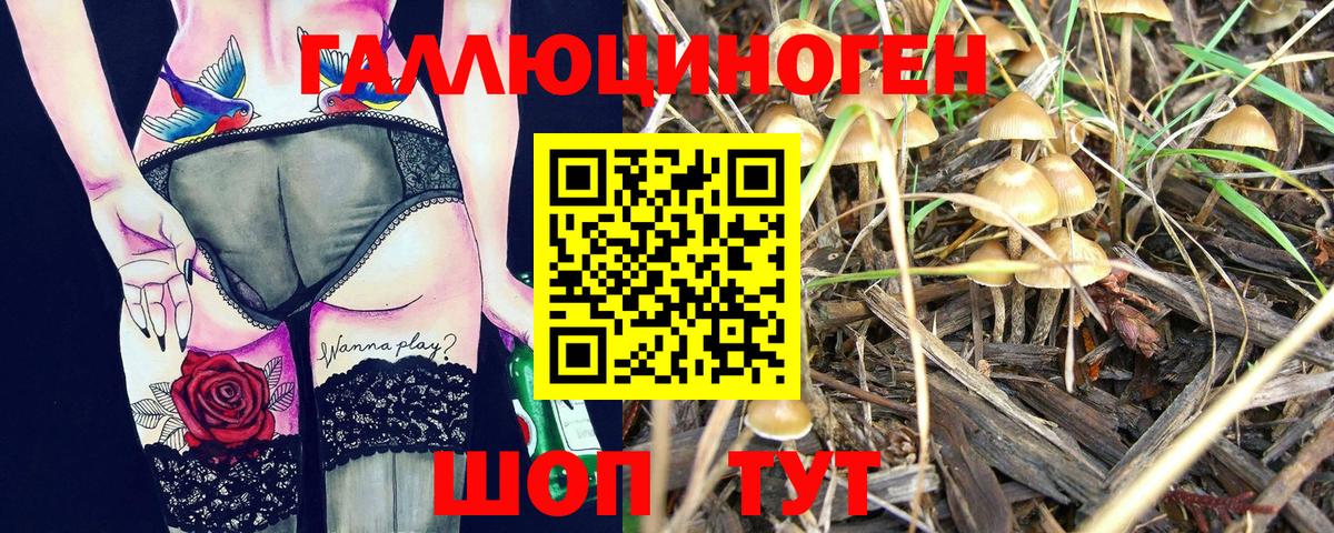 Галлюциногенные грибы MAGIC MUSHROOMS  Галлюциногенные грибы мухоморы  Белая Калитва 