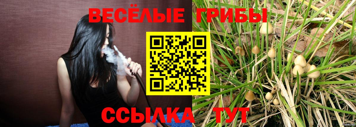 Псилоцибиновые грибы мицелий  Вход с VPN  Белая Калитва 