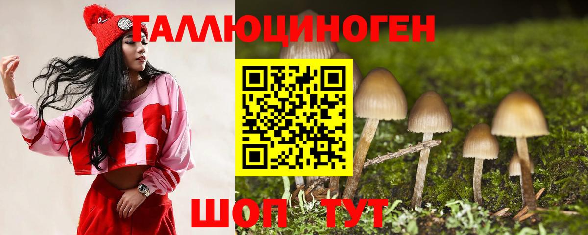 Галлюциногенные грибы Psilocybine cubensis Белая Калитва